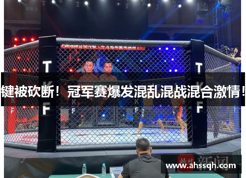 键被砍断！冠军赛爆发混乱混战混合激情！